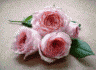 Aun_[r[